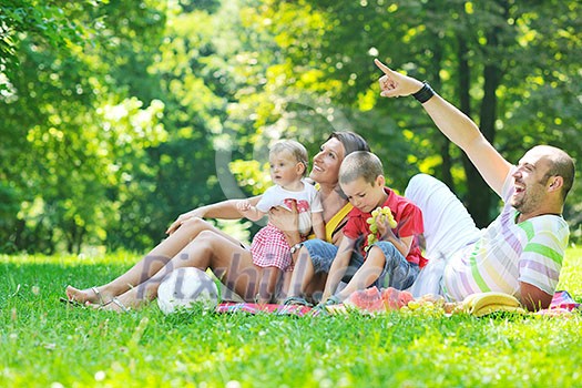 happy young couple with their children have fun at beautiful park outdoor in nature