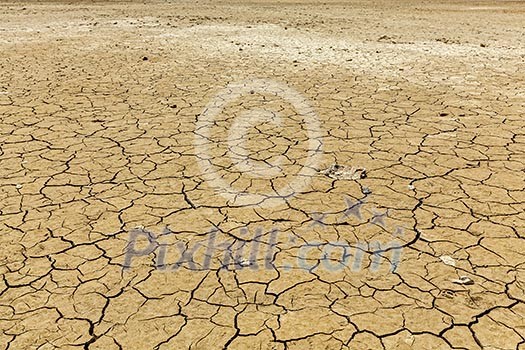 Cracked earth background texture Cracked earth background texture