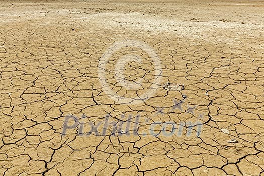 Cracked earth background texture