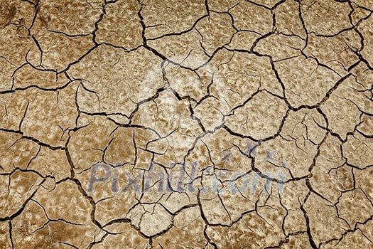 Cracked earth background texture