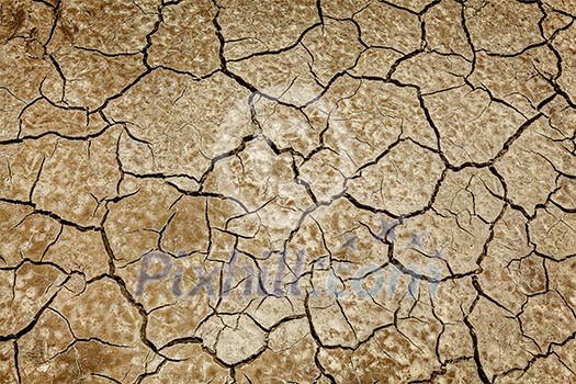 Cracked earth background texture Cracked earth background texture