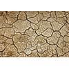 Cracked earth background texture