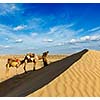 Rajasthan travel background - India cameleer (camel driver) with camels in dunes of Thar desert. Jaisalmer, Rajasthan, India