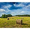 Agriculture background - Hay bales on field in summer