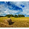 Agriculture background - Hay bales on field in summer