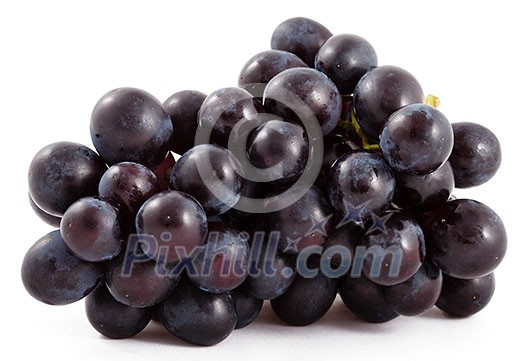 Bunch of black grapes isolated on white background