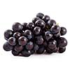 Bunch of black grapes isolated on white background
