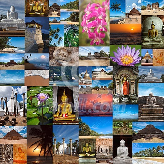 Collage of images of Sri Lanka Collage of images of Sri Lanka