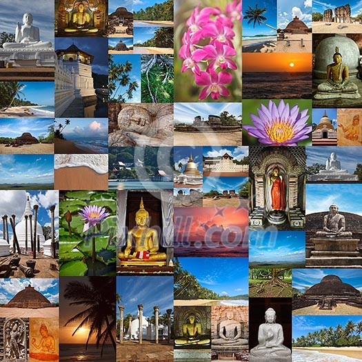 Collage of images of Sri Lanka