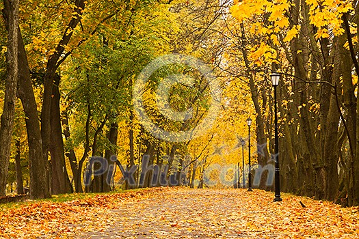 Walkway in autumn park Walkway in autumn park