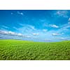 Field of green fresh grass under blue sky