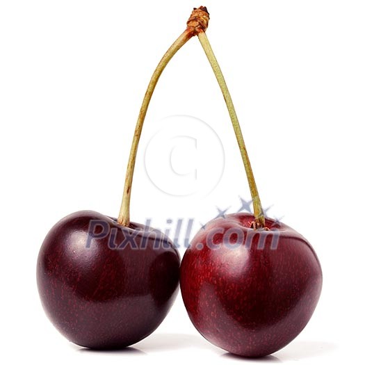 Two sweet cherries isolated on white