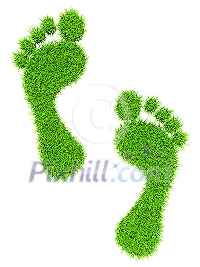 Ecology eco friendly green bio concept - grass footprints