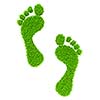 Ecology eco friendly green bio concept - grass footprints
