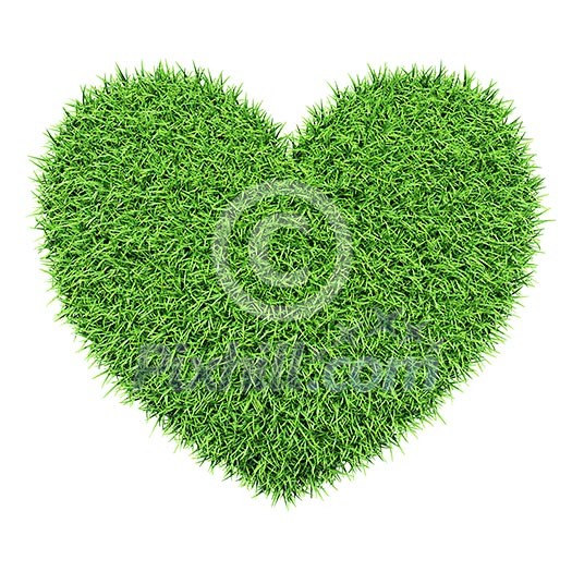 Ecology eco conservation nature love creative concept - green heart made of grass isolated on white background Ecology eco conservation nature love creative concept - green heart made of grass isolated on white background