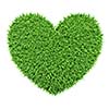 Ecology eco conservation nature love creative concept - green heart made of grass isolated on white background