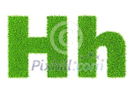 Grass letter H - ecology eco friendly concept character type