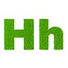 Grass letter H - ecology eco friendly concept character type