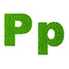 Grass letter P - ecology eco friendly concept character type
