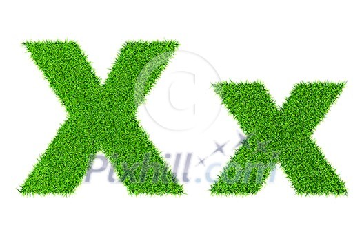 Grass letter X - ecology eco friendly concept character type