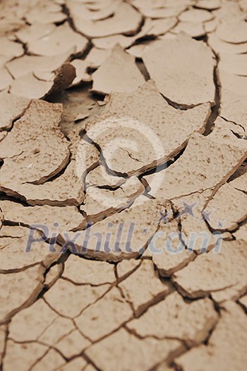 dry brown ground background dry brown ground background