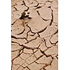 dry brown  ground background