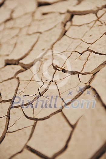 dry brown  ground background