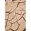 dry brown  ground background