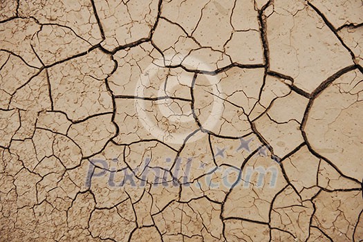 dry brown  ground background