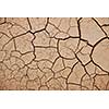 dry brown  ground background