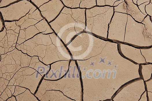 dry brown ground background dry brown ground background