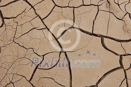 dry brown  ground background