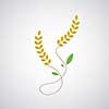 wheat symbol on gray background 