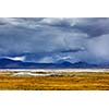 Tso Kar - fluctuating salt lake in Himalayas. Rapshu,  Ladakh, Jammu and Kashmir, India