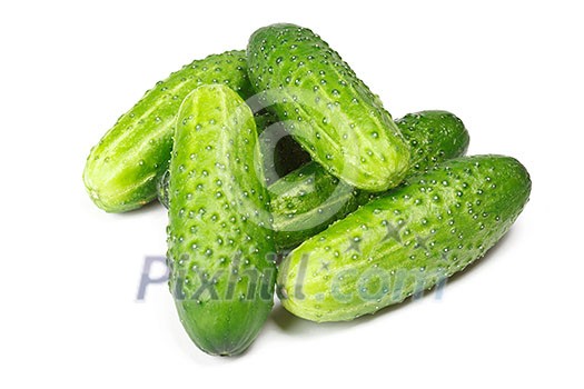 Green cucumber isolated on white background Green cucumber isolated on white background