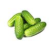 Green cucumber isolated on white background