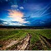 Countryside landscape with dirt  road