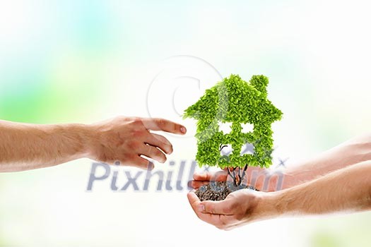 Image of human hands holding plant shaped as house. Ecology and purity Image of human hands holding plant shaped as house. Ecology and purity