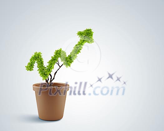 Image of human hands holding plant shaped like arrow Image of human hands holding plant shaped like arrow
