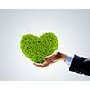 Image of human hands with plant shaped like heart. Environmental protection