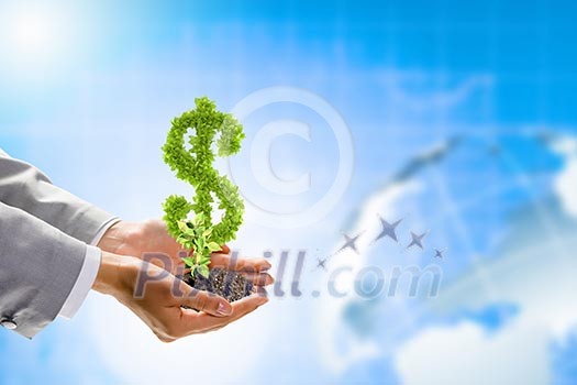 Image of human hands holding plant shaped like dollar Image of human hands holding plant shaped like dollar