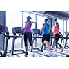 group of young people running on treadmills in modern sport  gym