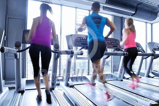 group of young people running on treadmills in modern sport gym group of young people running on treadmills in modern sport gym