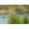 Steel barbed wire on blurred background