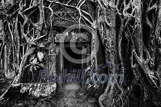 Travel Cambodia concept background - ancient stone door and tree roots, Ta Prohm temple ruins, Angkor, Cambodia. Black and white version