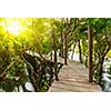 Tropical exotic travel concept - wooden bridge in flooded rain forest jungle of mangrove trees near Kampong Phluk village, Cambodia