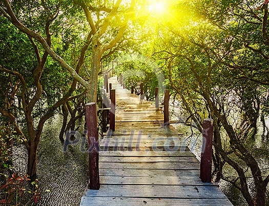 Tropical exotic travel concept - wooden bridge in flooded rain forest jungle of mangrove trees near Kampong Phluk village, Cambodia