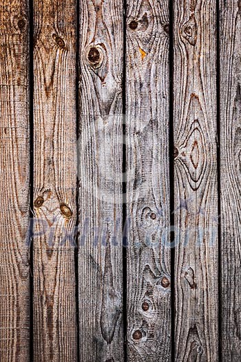 Vintage old wood background - wooden planks texture close up