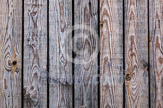 Vintage old wood background - wooden planks texture close up