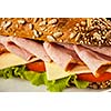 Ham sandwich with lettuce, cheese, tomato close up